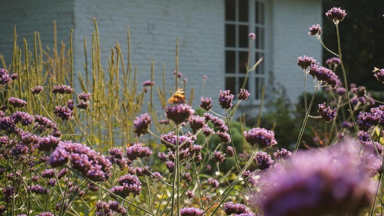 Het Witte Kasteel Villa Loon op Zand Exteriör bild